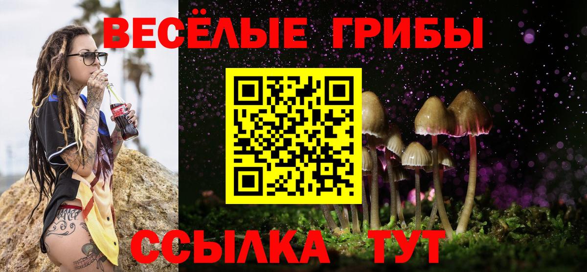 Галлюциногенные грибы мицелий Губкин