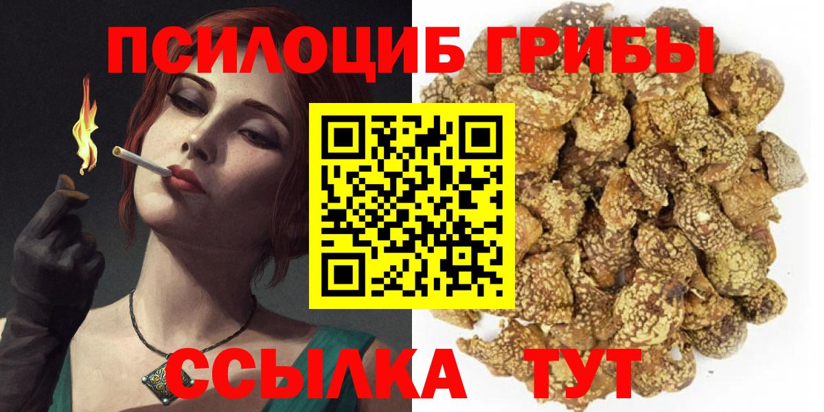 Галлюциногенные грибы Cubensis  Вход с VPN  Губкин 